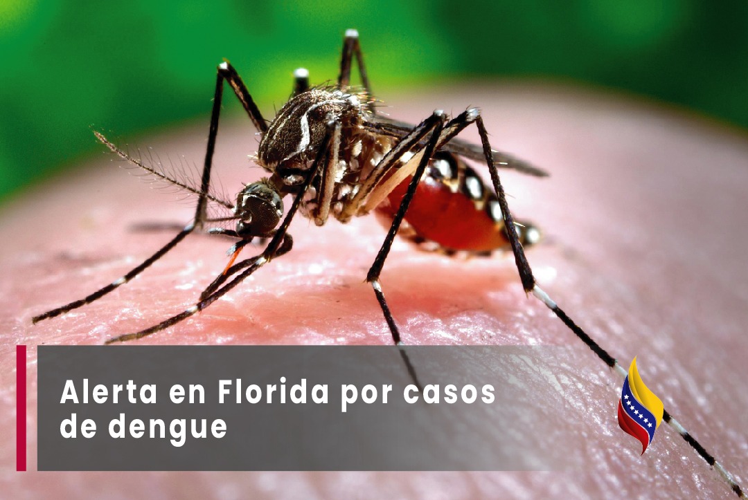 Alerta en florida por caso de dengue